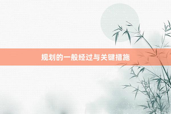 规划的一般经过与关键措施