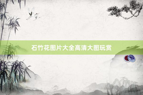 石竹花图片大全高清大图玩赏