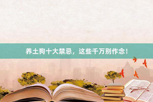 养土狗十大禁忌，这些千万别作念！