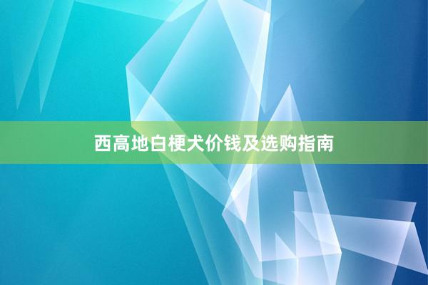 西高地白梗犬价钱及选购指南
